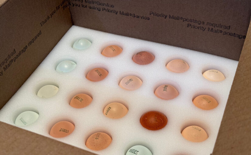 shipped-eggs-in-box